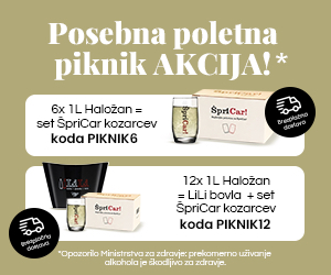 Promotional Banner